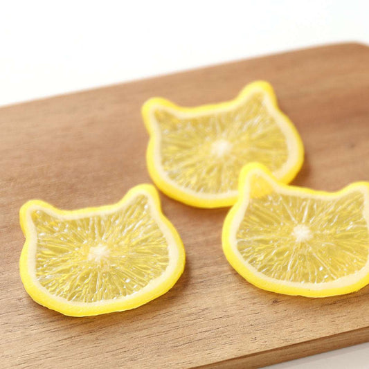 ハーバリウム用 輪切り レモン(猫) 3袋セット