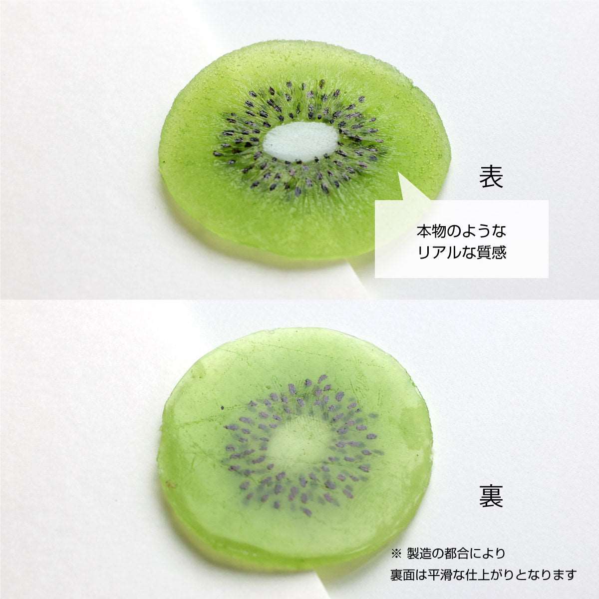 ハーバリウム用 輪切り キウイ 3袋セット
