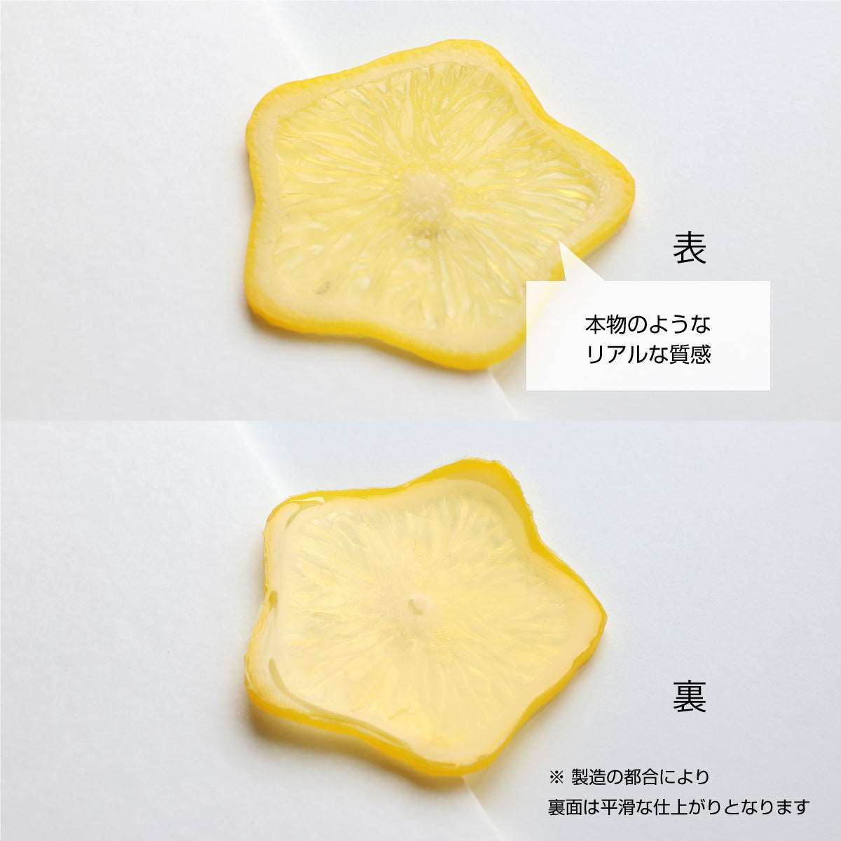 ハーバリウム用 輪切り スターレモン