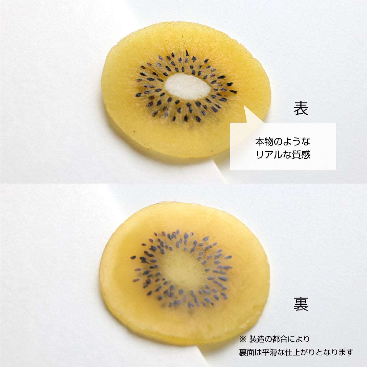 ハーバリウム用 輪切り キウイゴールド