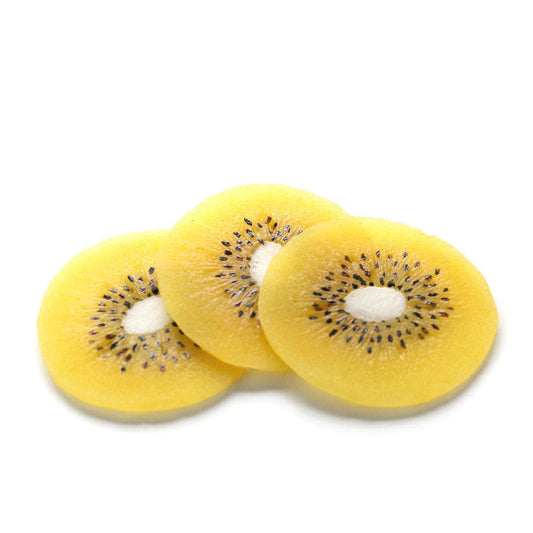 ハーバリウム用 輪切り キウイゴールド