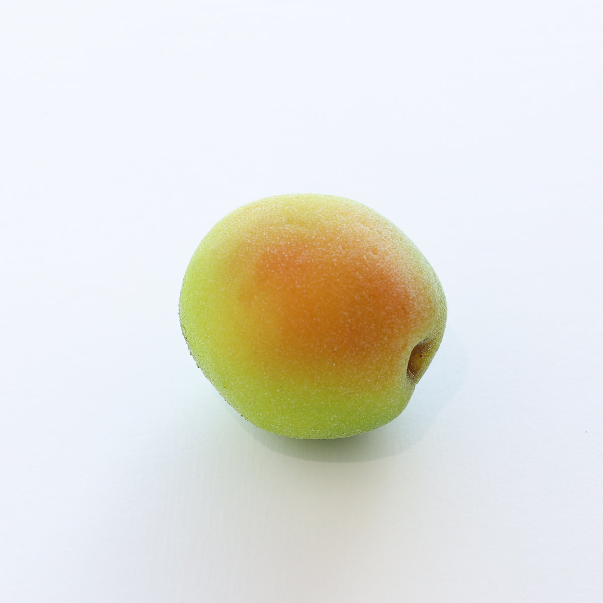 食べられない 梅 早熟