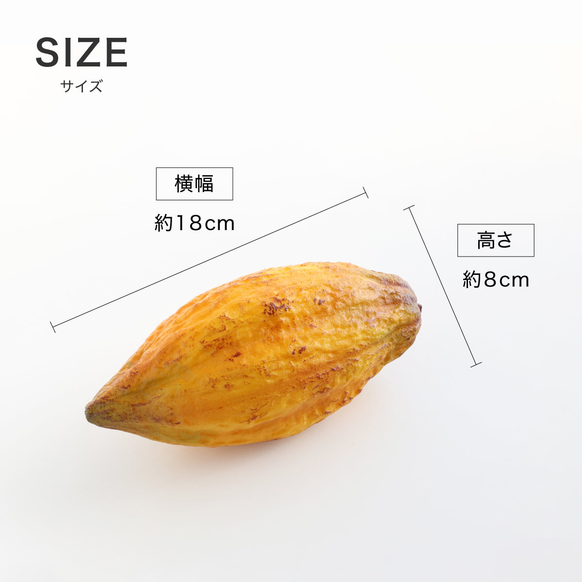 食べられない カカオポッド イエロー
