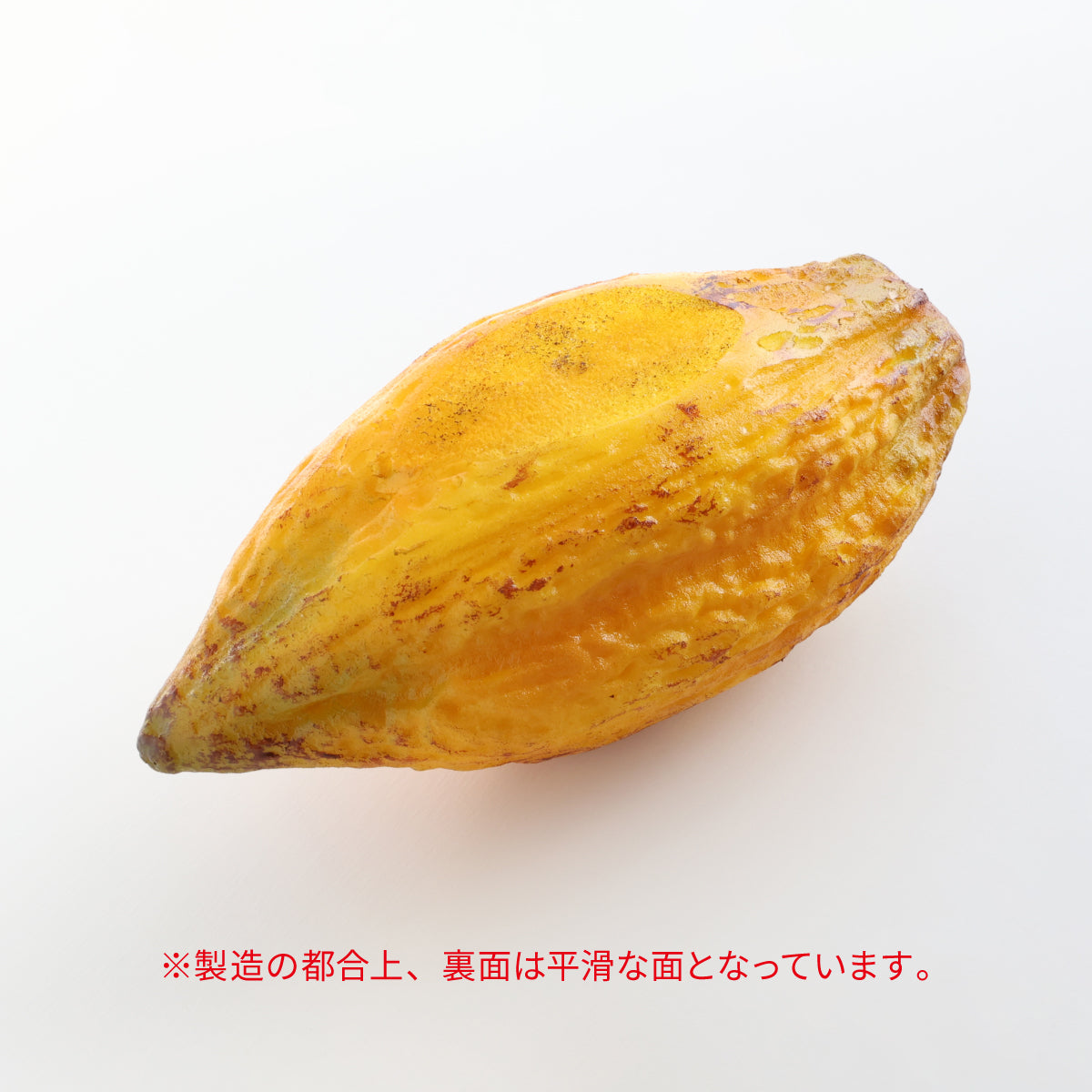 食べられない カカオポッド イエロー
