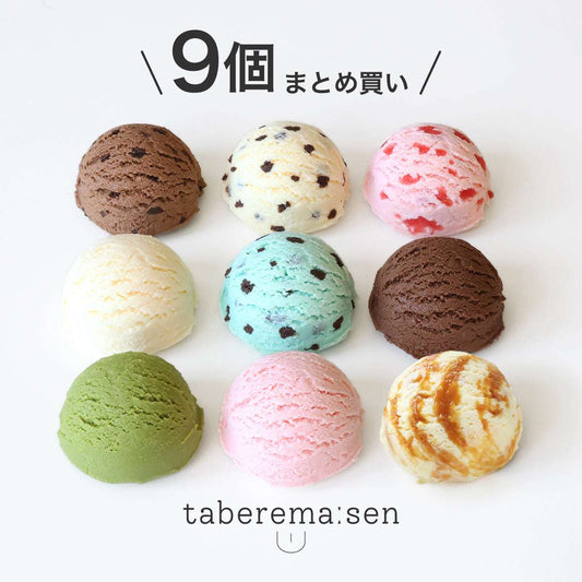 食べられない アイスクリーム 9個まとめ買い