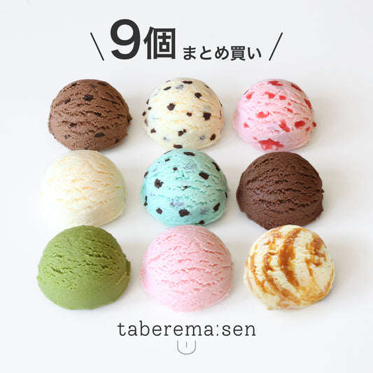 食べられない アイスクリーム 9個まとめ買い