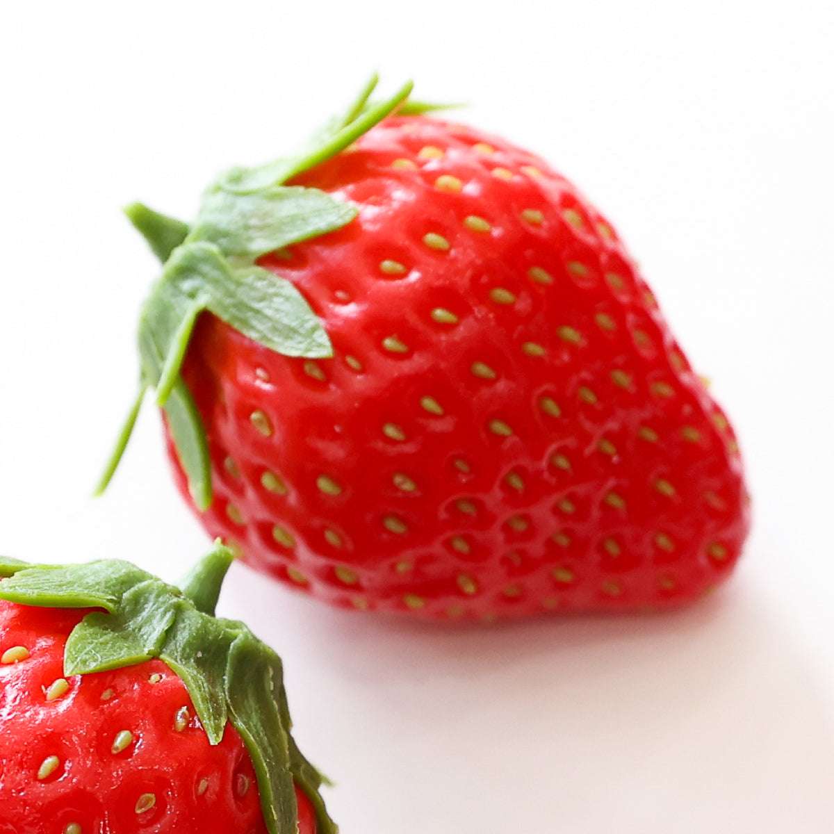 食べられない いちご 5個セット