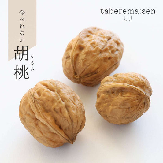 食べられない くるみ 3個セット