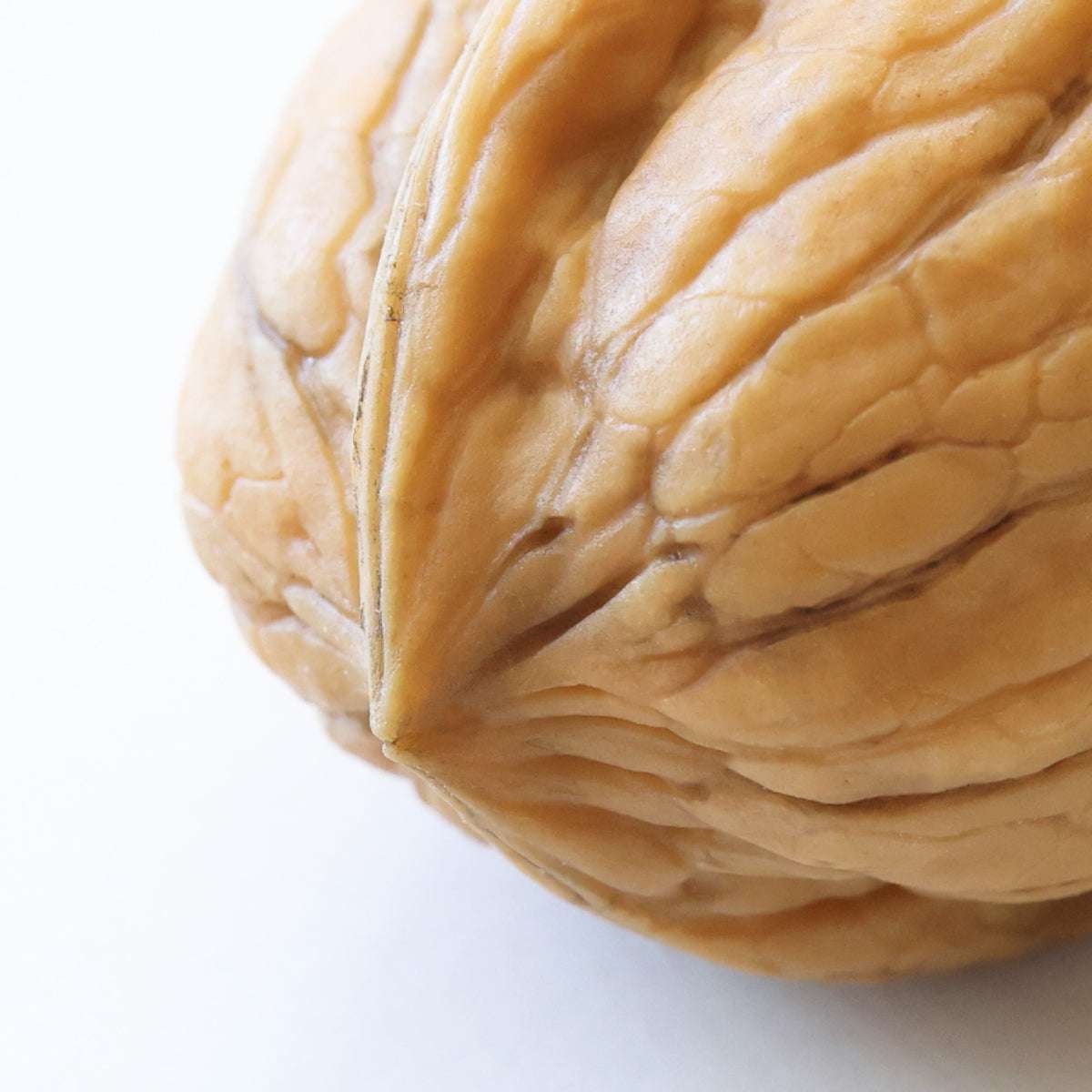 食べられない くるみ 3個セット
