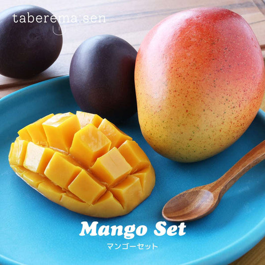 食べられない マンゴーセット