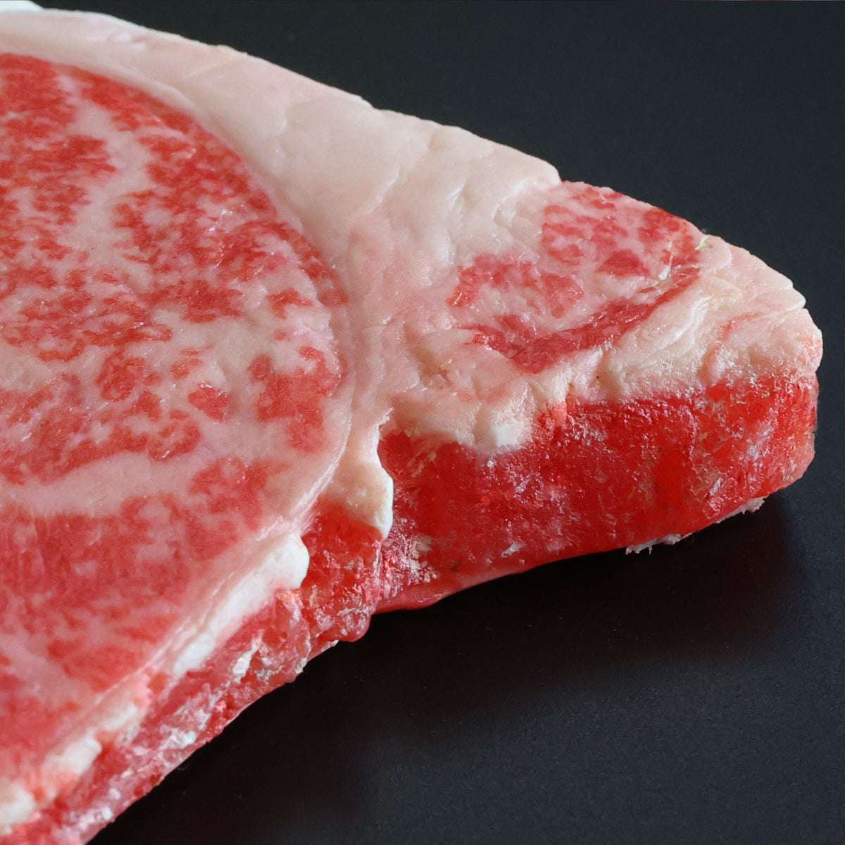 食べられない ステーキ肉 (1枚・木箱無し)
