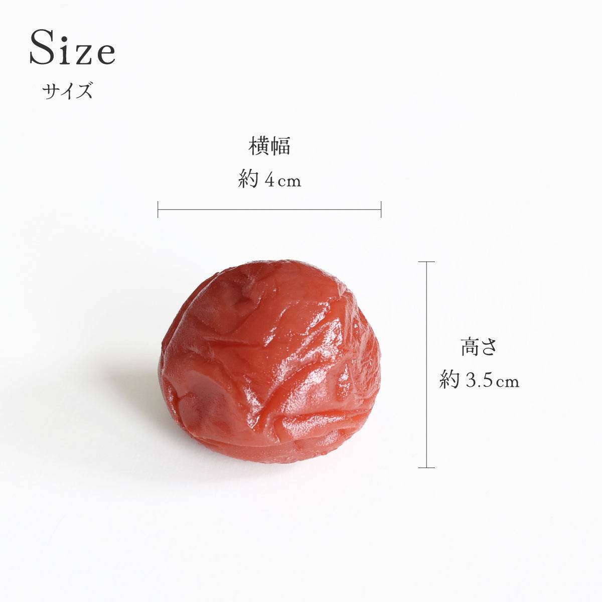 食べられない 大粒 うめぼし