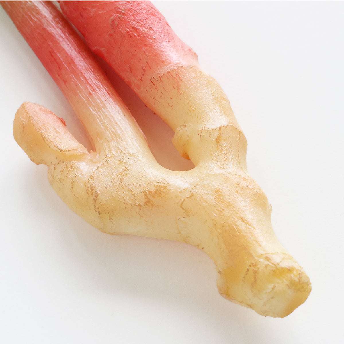 食べられない 久能の葉生姜 2本セット