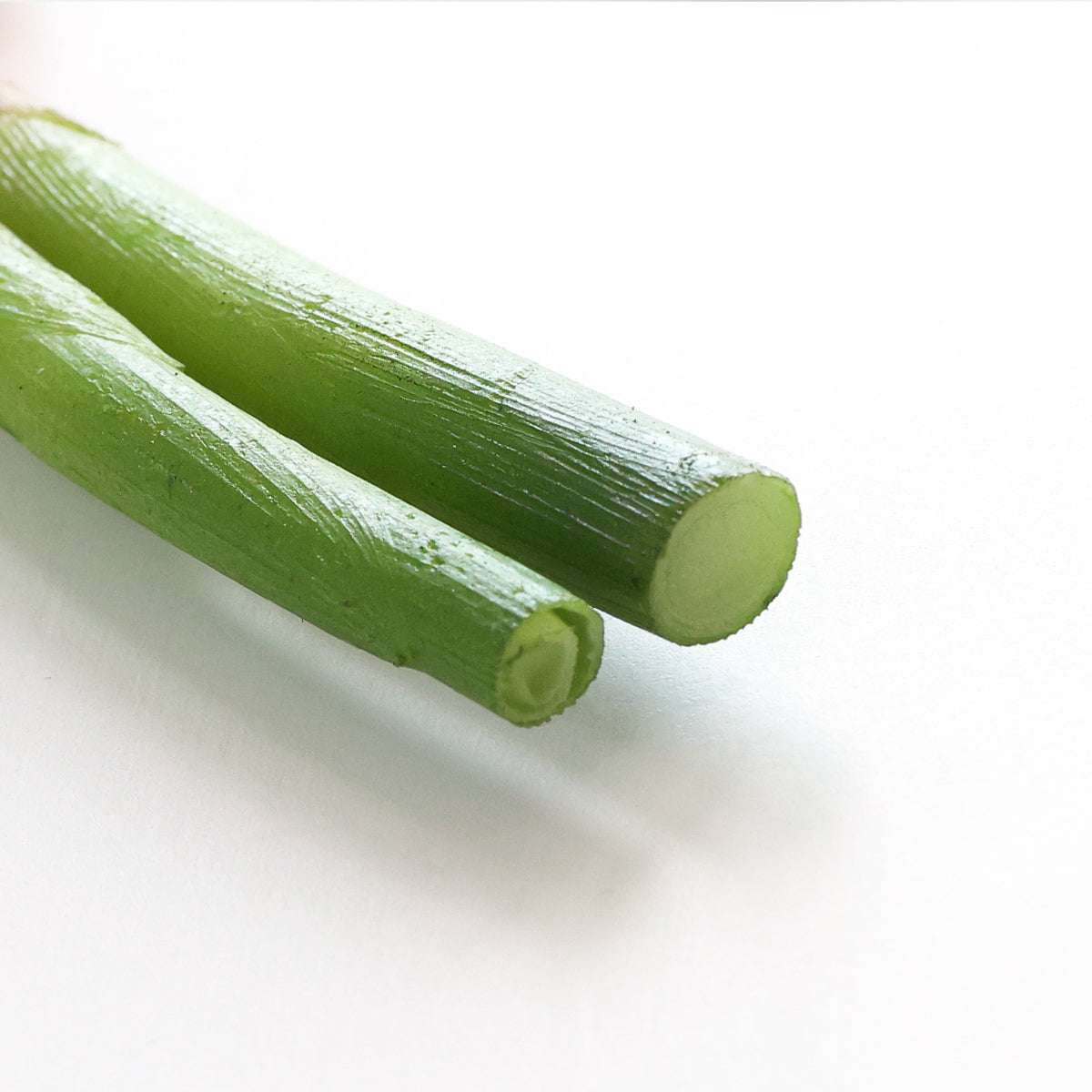 食べられない 久能の葉生姜 2本セット
