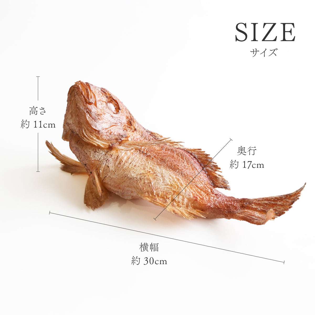 食べられない 祝い鯛
