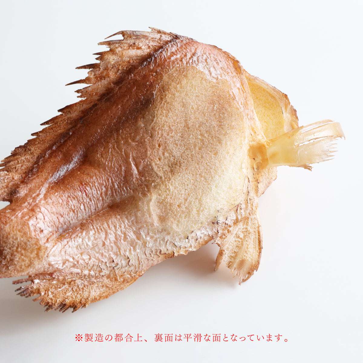 食べられない 祝い鯛