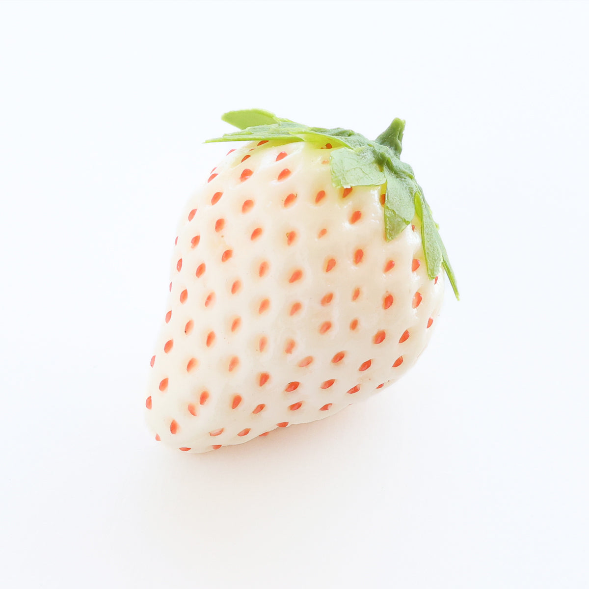 食べられない 白いちご 5個セット