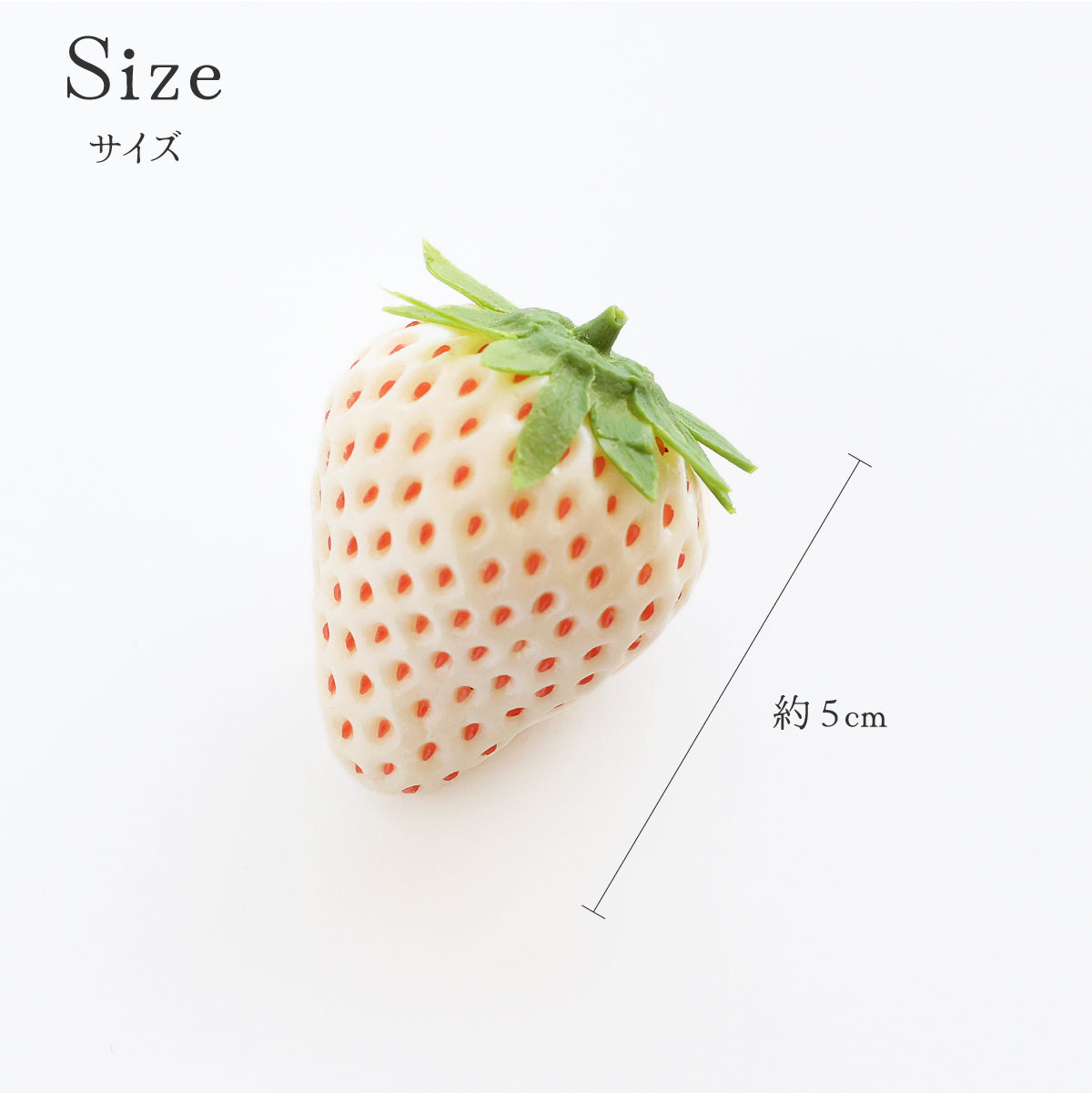 食べられない 白いちご 5個セット