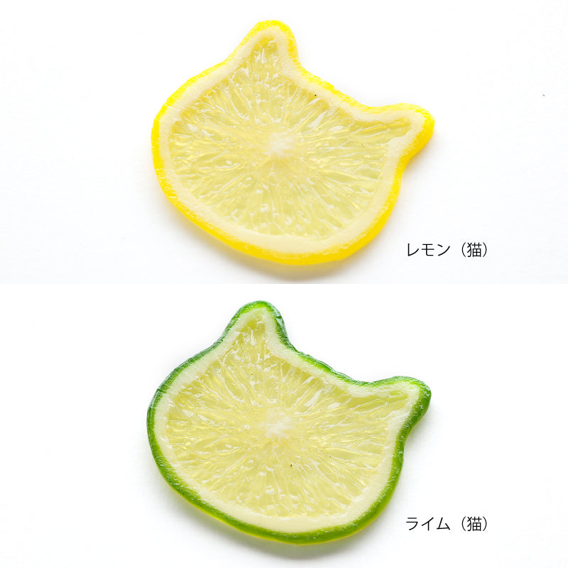【選べる組み合わせ】ハーバリウム用サンプル