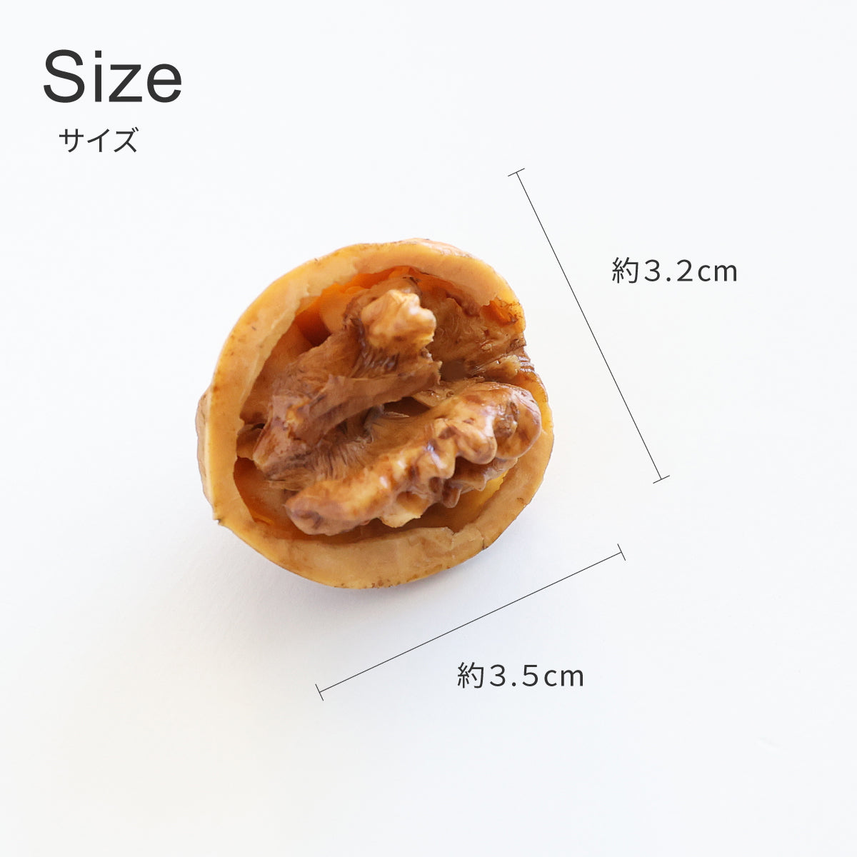 食べられない くるみ (半分)