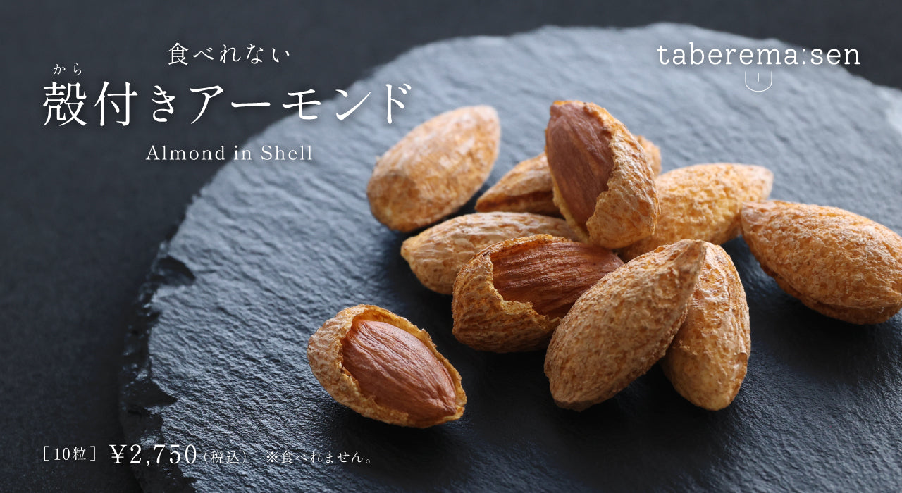 食品サンプル専門店 taberemasen
