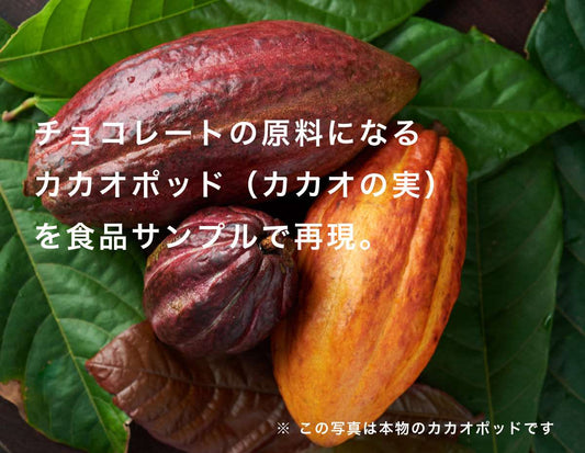 食べられない カカオポッド カット ダークブラウン - 2枚目の画像