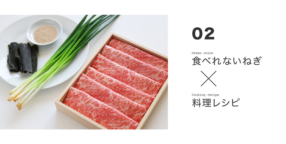 食品サンプル専門店 taberemasen