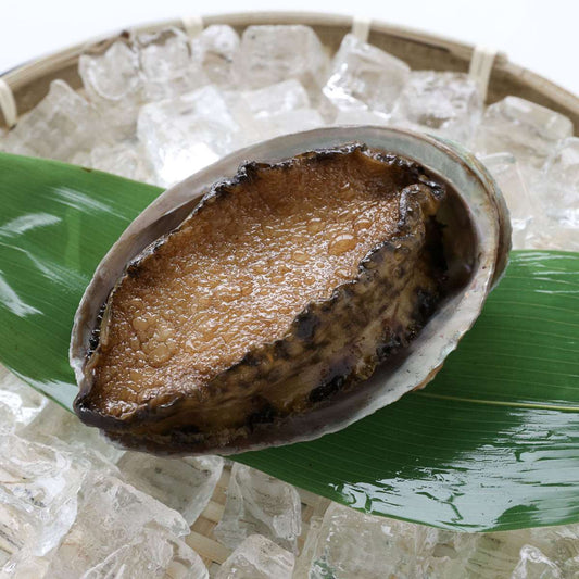 食べられない 鮑（アワビ）