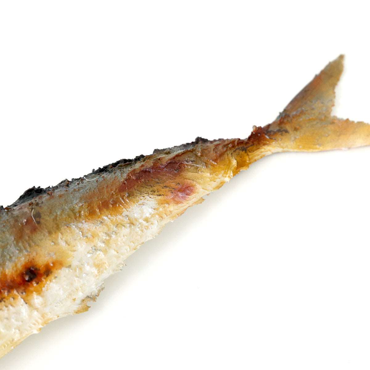 食べられない 秋刀魚