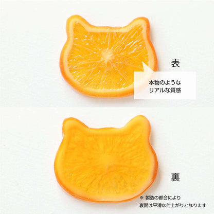 ハーバリウム用 輪切り オレンジ（猫）