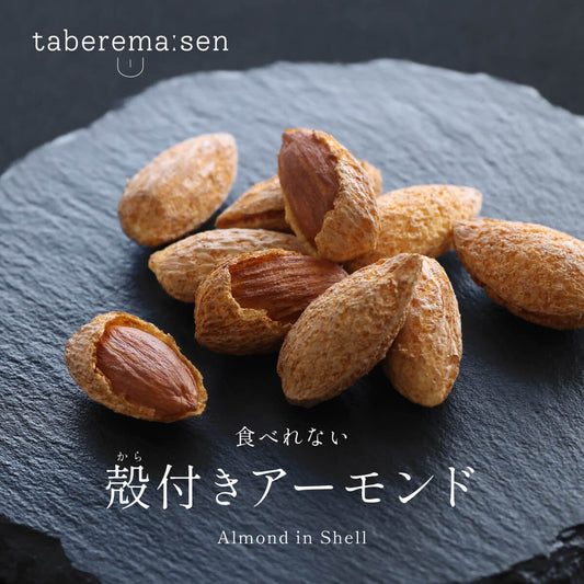 食べられない 殻付きアーモンド