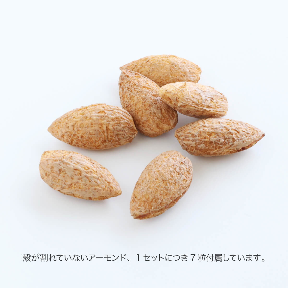 食べられない 殻付きアーモンド
