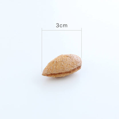食べられない 殻付きアーモンド