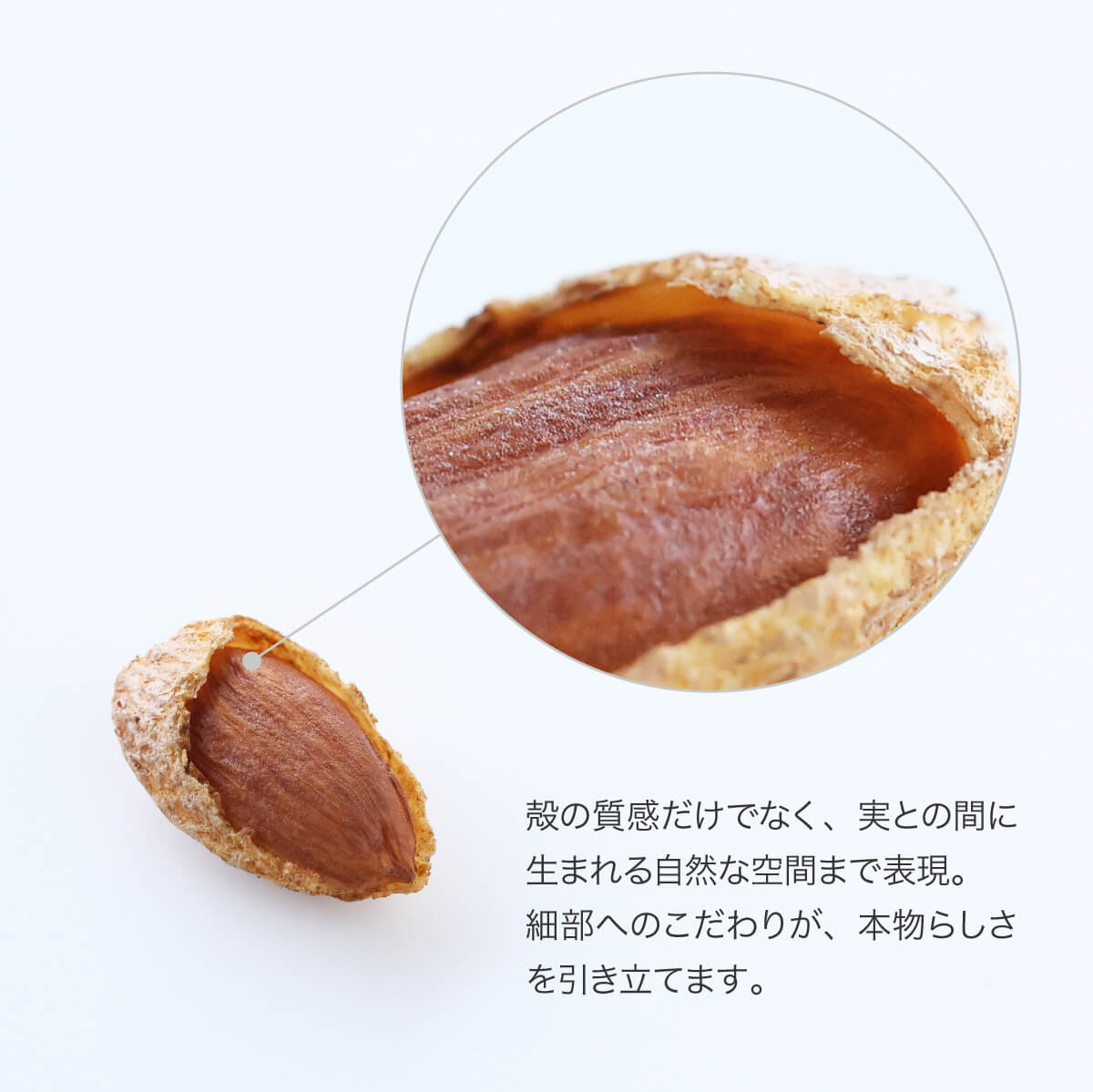 食べられない 殻付きアーモンド