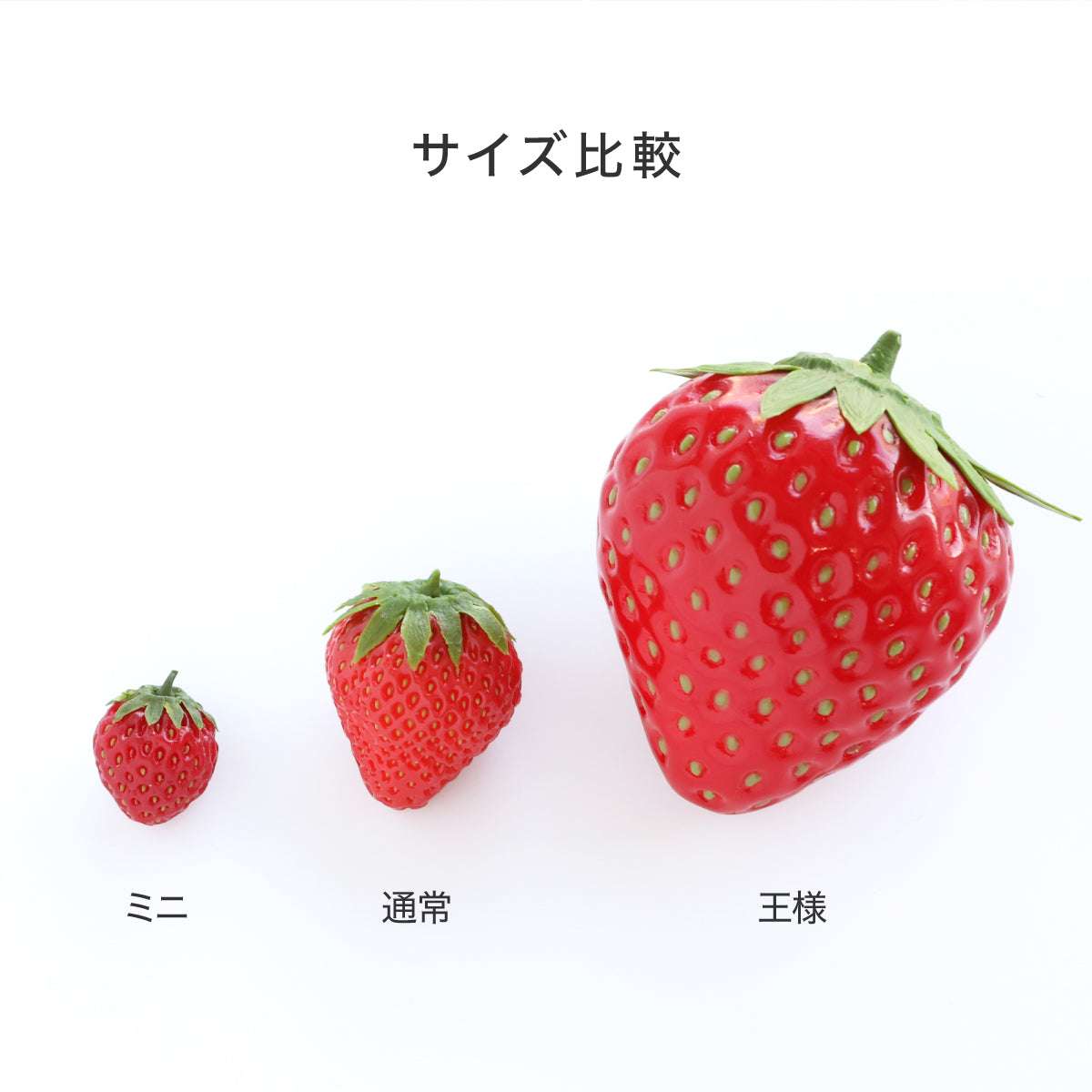 食べられない いちごの王様