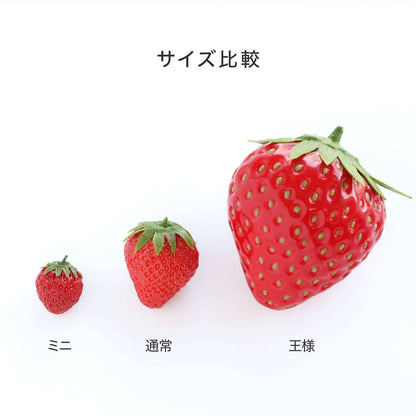 食べられない いちごの王様