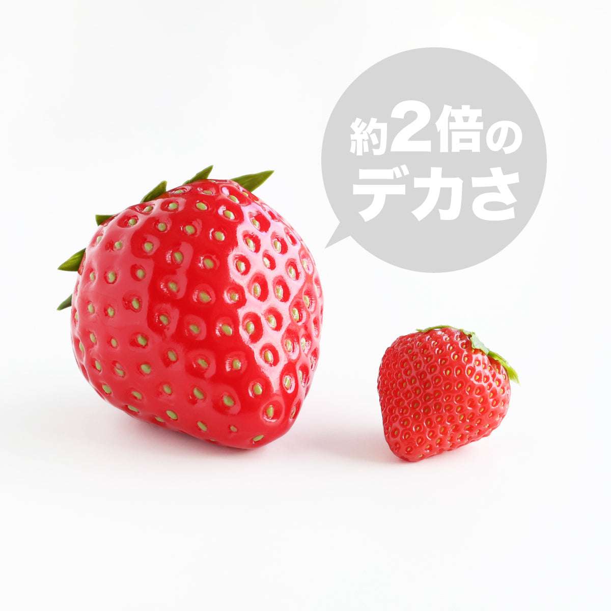 食べられない いちごの王様