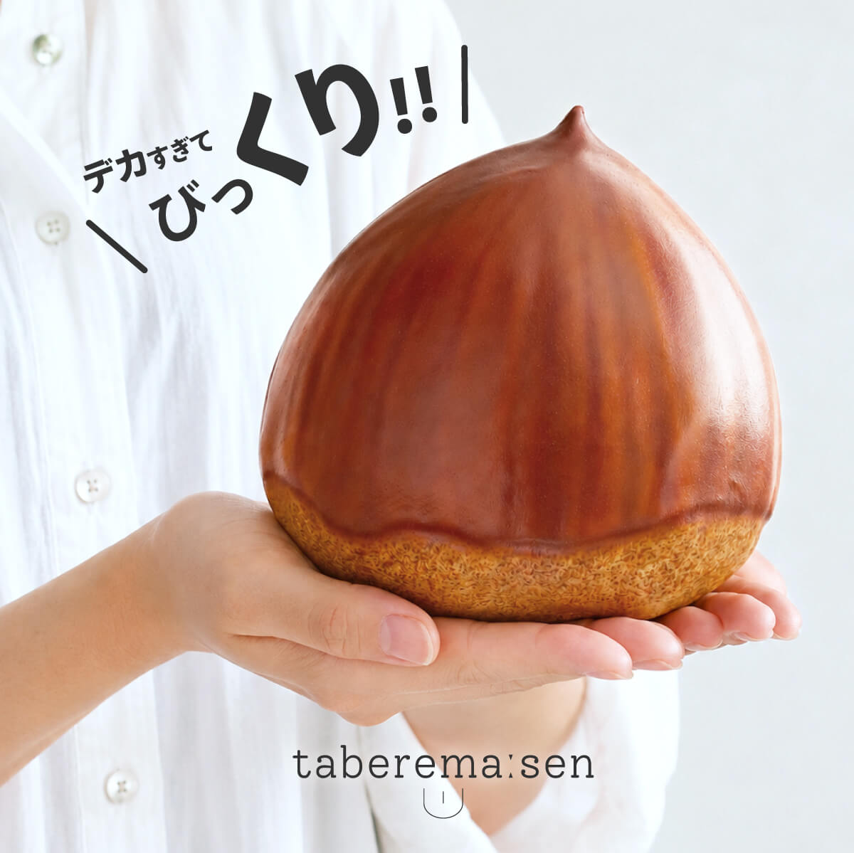 食べられない でっかい栗