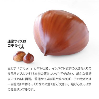 食べられない でっかい栗