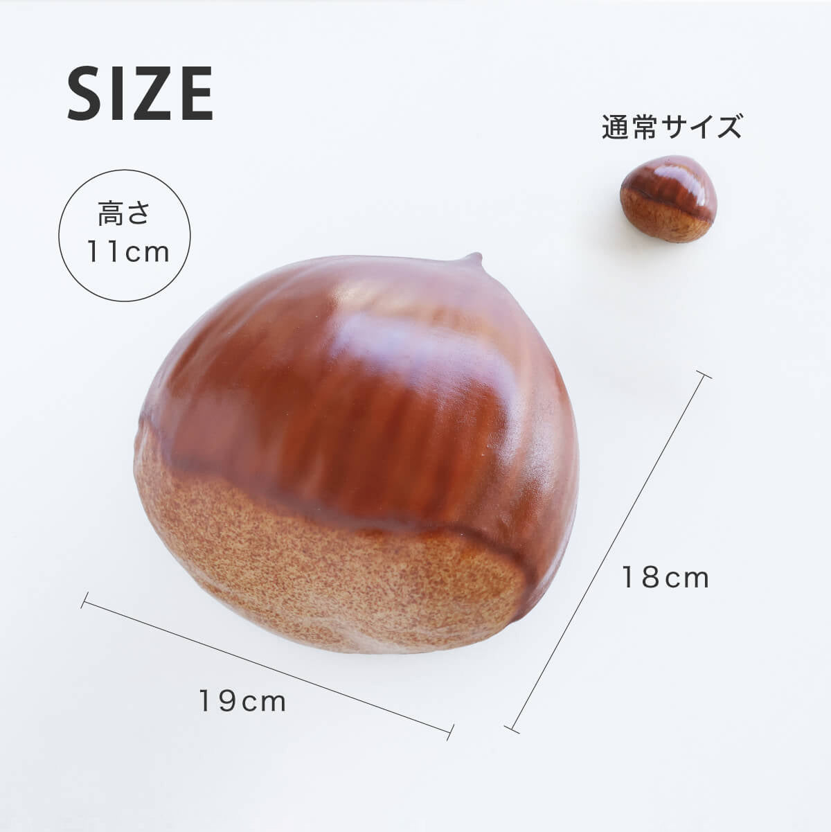 食べられない でっかい栗