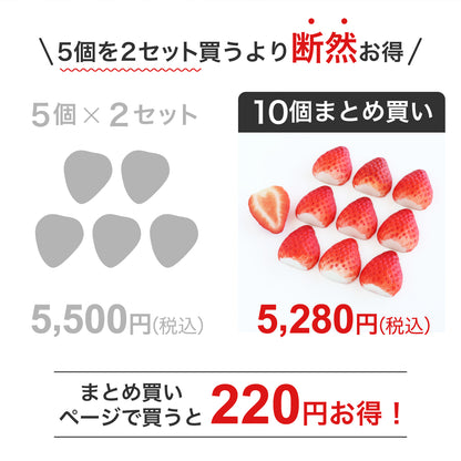 食べられない いちご 1/2 10個まとめ買い