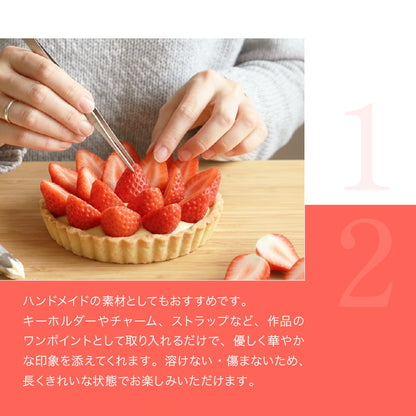 食べられない いちご 1/2 10個まとめ買い