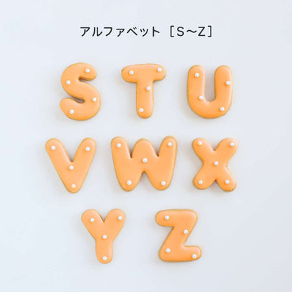 食べれない　アイシングクッキー　オレンジ