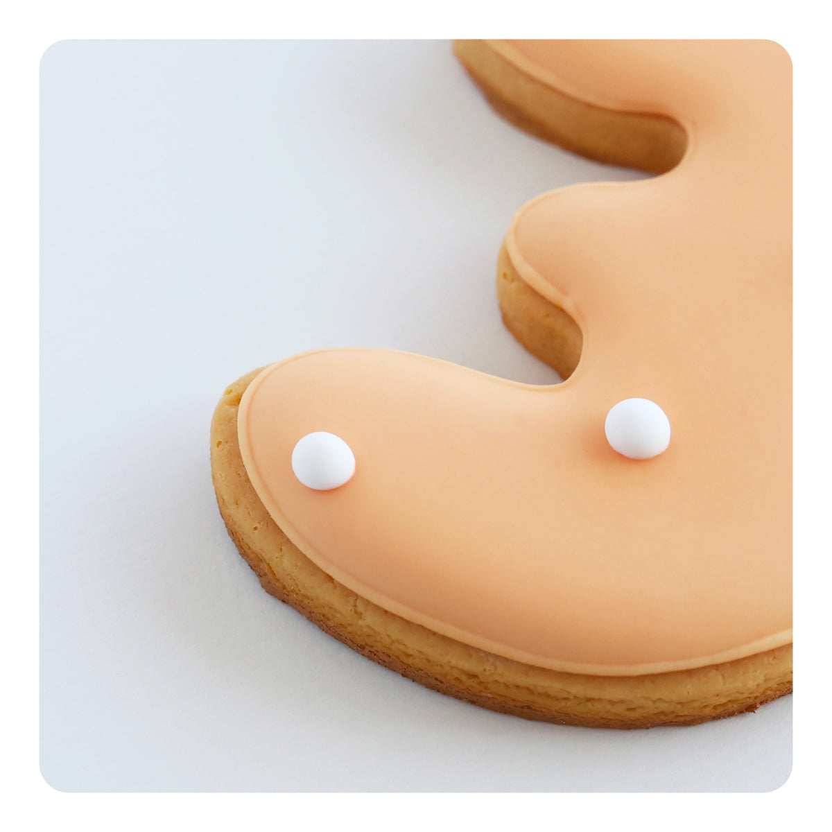 食べれない　アイシングクッキー　オレンジ