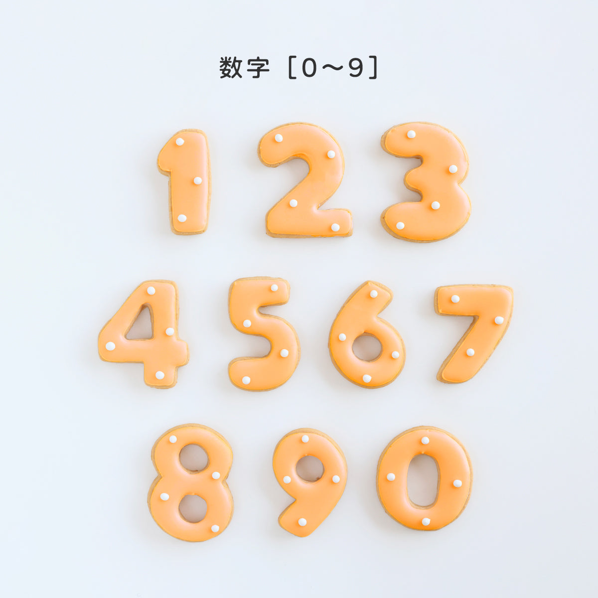食べれない　アイシングクッキー　オレンジ