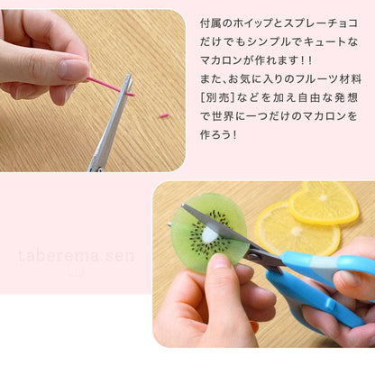 食べられない マカロンキット