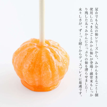 食べられない まるごとみかん飴