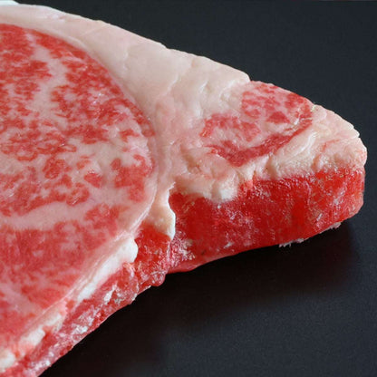 食べられない ステーキ肉 （1枚・木箱無し）