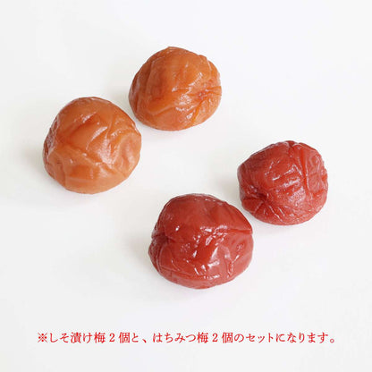 食べられない 大粒 うめぼし