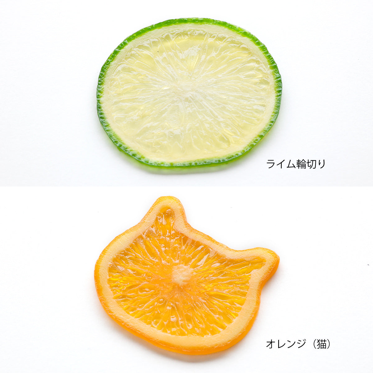 【選べる組み合わせ】ハーバリウム用サンプル